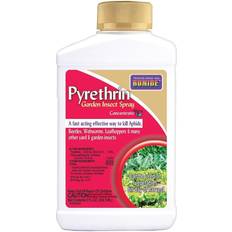 Bonide BND857 Pyrethrin Garden Insect Spray