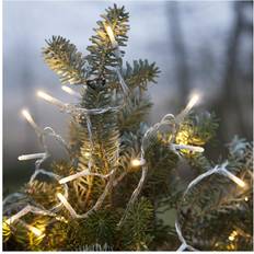 Led string light Star Trading String 593-00-1 Ljusslinga 30 Lampor