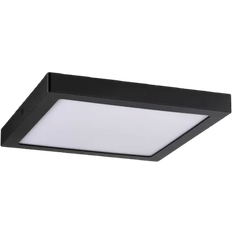 Paulmann Taklampor Paulmann Abia Takplafond 30cm