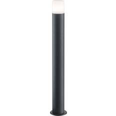 Trio Lighting Hoosic Pollare 80cm