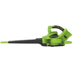 Greenworks Havemaskiner Greenworks GD24X2BV Løvblæser Støvsuger