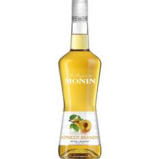Bevande in Polvere Monin Apricot Albicocca 700 ml