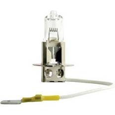 Philips G9 Lyskilder Philips 77459030 halogen lyskilde MasterDuty H3 70 W 24 V