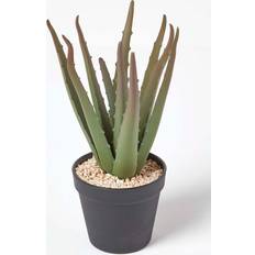 Black Artificial Plants Homescapes Aloe Vera Artificial Succulent Artificial Plant