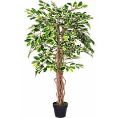 Variegated