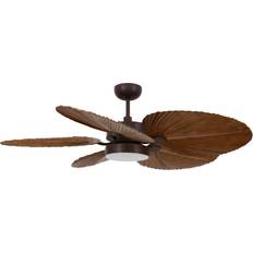 FAN00229