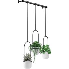 Pots, Plants & Cultivation Umbra Triflora Hanging Planter 43.5"