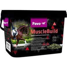 MuscleBuild 3kg
