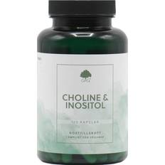 Choline 250mg Inositol 250mg 120 Kapsler