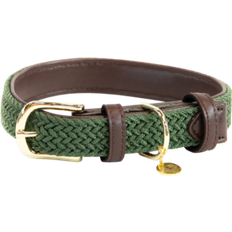 Kentucky Collier Pour Chien En Nylon Plaqué - Vert