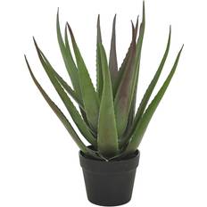 Alovera Aloe vera-planta Konstgjord växt