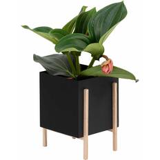 Design House Stockholm Botanic pot flower pot