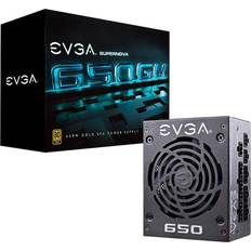 EVGA PS 123-GM-0650-Y1