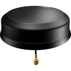 Antenne Combi Lte 2,5m