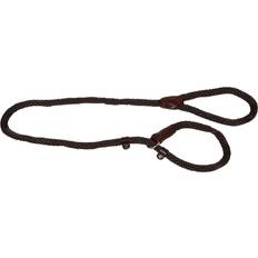 and Vanilla Dog Slip Leash Walkabout