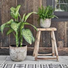 Albero Planter H26Cm X D28Cm