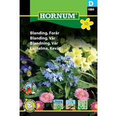 Hornum Forår, blomster blanding frø Blomsterfrø