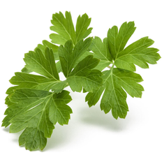 Click and Grow & Smart Garden Refill: Parsley Krukke
