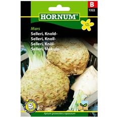 Krukker, Planter & Dyrkning Hornum Knoldselleri frø Grøntsagsfrø