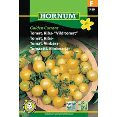 Tomat frø Hornum Tomat, Ribs- "Vild tomat" Blomsterfrø
