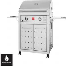 Electric Grills Fuego Premium 2-Burner Natural