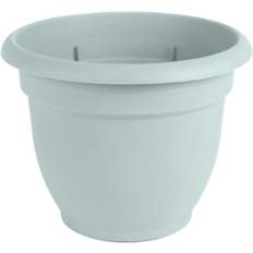 12 inch pots for plants Bloem Ariana 10.1 H X D Resin Planter Misty