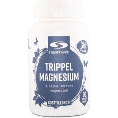 Healthwell Healthwell Trippel Magnesium 90 st