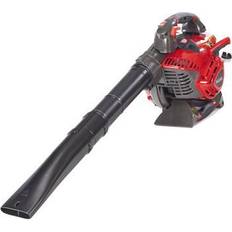 Skip20A Mbl 270V Petrol Blowe