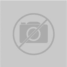 Boots- & Autolautsprecher Visaton W 130 X 5