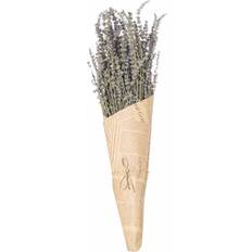 Hill Interiors Dried lavender Bunch