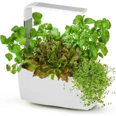 Krukker, Planter & Dyrkning TREGREN Kitchen Garden T6 Krukke