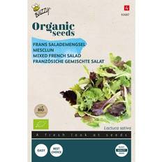 Økologisk, Pluksalat frø, French Salad mix Grøntsagsfrø