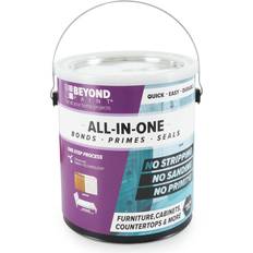 Beyond paint BEYOND PAINT 1 gal. Gray