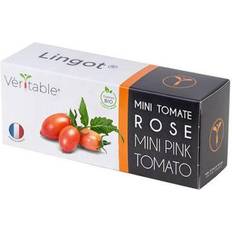 Graines Veritable Mini pink tomato Lingot