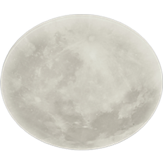 Fjärrkontroll Taklampor Trio Lighting Lunar Takplafond ∅ 40cm