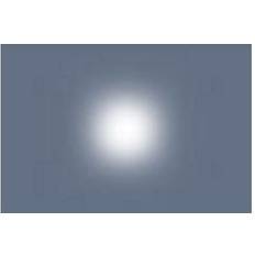 LEE Rulle 250 1/2 Half White Diffusion