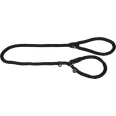 Jack and Vanilla and Vanilla Dog Slip Leash Walkabout