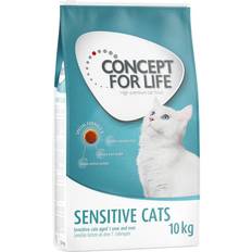 Kattemad Concept for Life Sensitive Cats kattemad