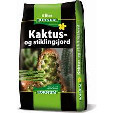 Kaktus plante Hornum Kaktus Plantejord