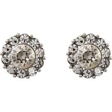 Lily and Rose Øreringe Lily and Rose Miss Sofia Earring - Crystal