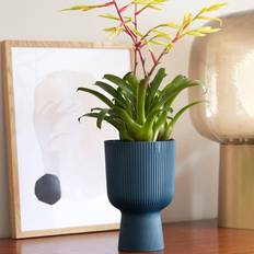 Elho vibes Elho Vibes Fold 14cm Coupe Krukke