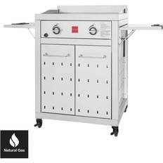 Electric Grills Fuego Premium 2-Burner Natural