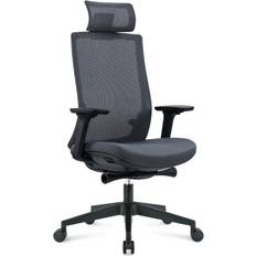 Armleuningen - Lendensteun Kantoorstoelen DPJ Ergo 312 Office Chair 123cm