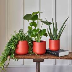 Pots, Plants & Cultivation Ivyline Lisbon Planter - Ceramic H26 - Coral