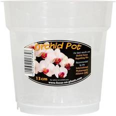 Orchid Pot Clear 13cm POCL13M Growth