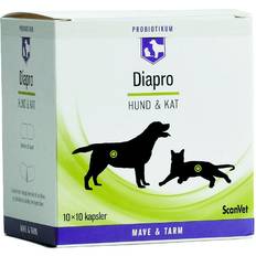 Diapro Diapro Hund & Kat 10x10 kapsler