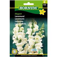 Hornum Blomsterfrø Hornum Løvemund frø, Elegant Blomsterfrø