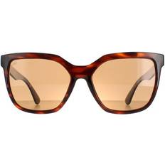 Serengeti Sunglasses Serengeti Wakota Polarized SS536004