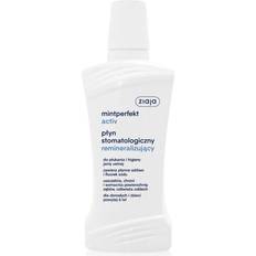 Mintperfekt Activ Remineraliserende Mundskyl 500 ml