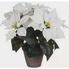 Plantas Artificiales BigBuy Home De Pascua Blanca-Poinsettia 27x35 cm Planta Artificial